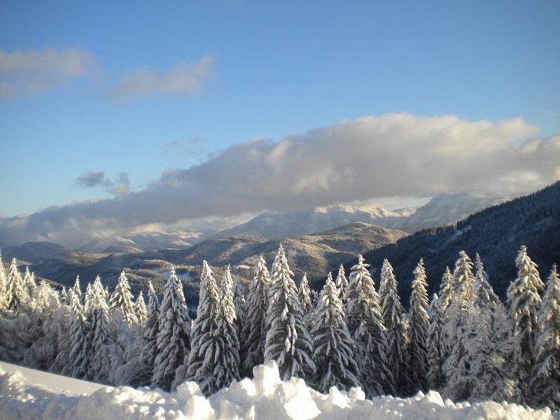 Hoehenstein Лунц-ам-Зе Номер фото
